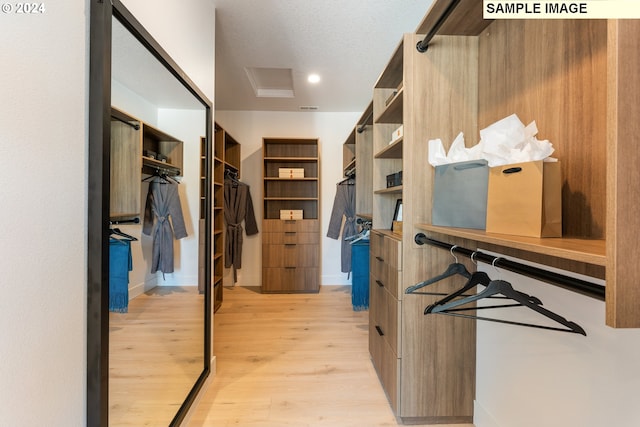 spacious closet featuring light hardwood / wood-style flooring