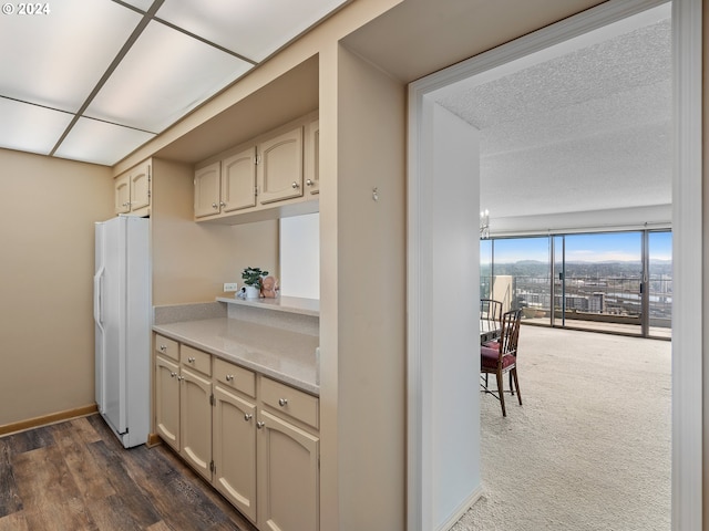 kitchen with baseboards, light countertops, dark wood-type flooring, and freestanding refrigerator