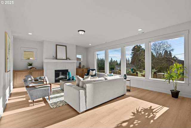 living room featuring a fireplace and light wood-type flooring