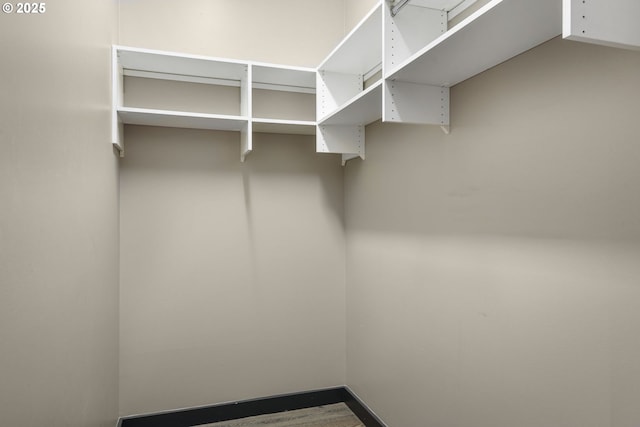 view of walk in closet