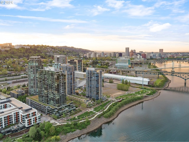 birds eye view of property with a water view and a city view