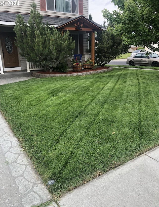 view of yard featuring covered porch