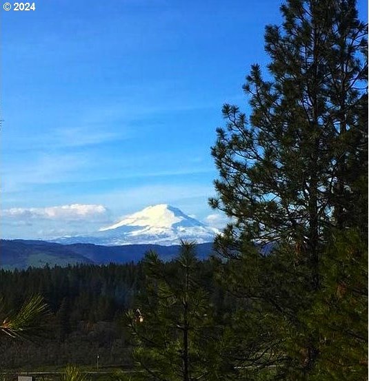 mountain view with a view of trees