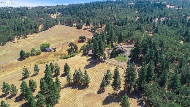 drone / aerial view featuring a rural view