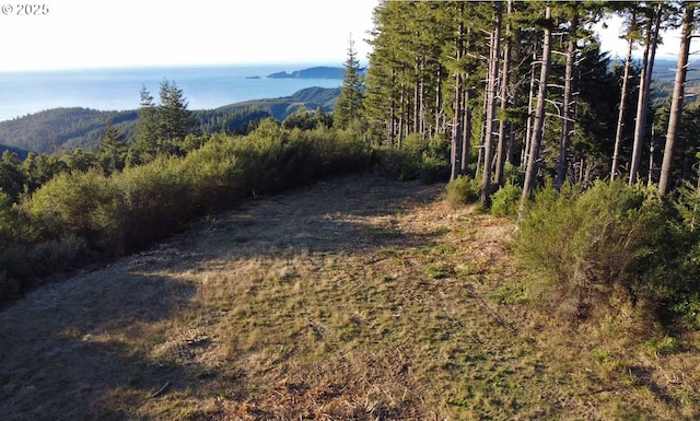 0 China Mountain Rd, Port Orford OR, 97465 land for sale