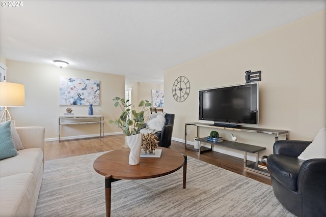 living room with wood-type flooring