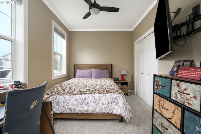 bedroom with ceiling fan, carpet floors, ornamental molding, and a closet