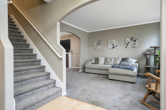 living room with crown molding and carpet floors