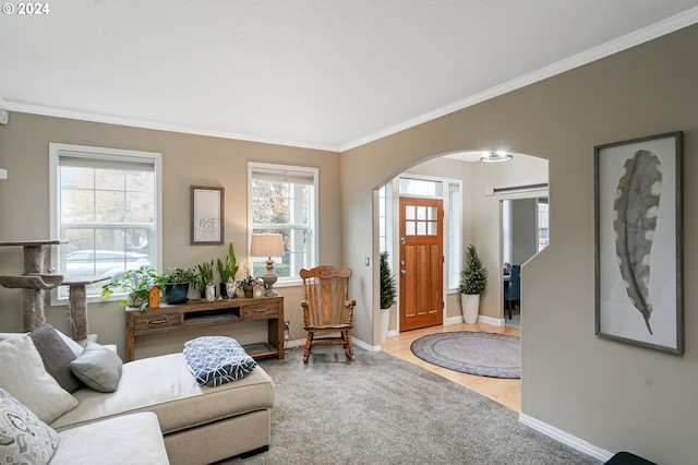 interior space with light hardwood / wood-style floors and ornamental molding