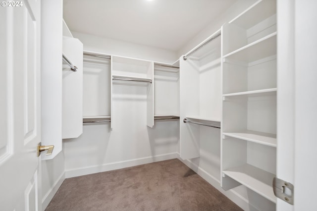 walk in closet featuring light colored carpet