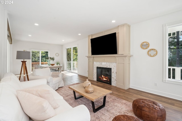 living room featuring a fireplace and light wood-type flooring