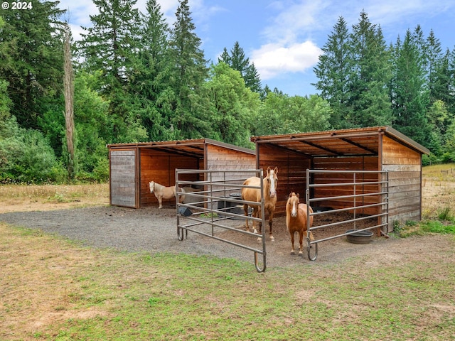 view of horse barn