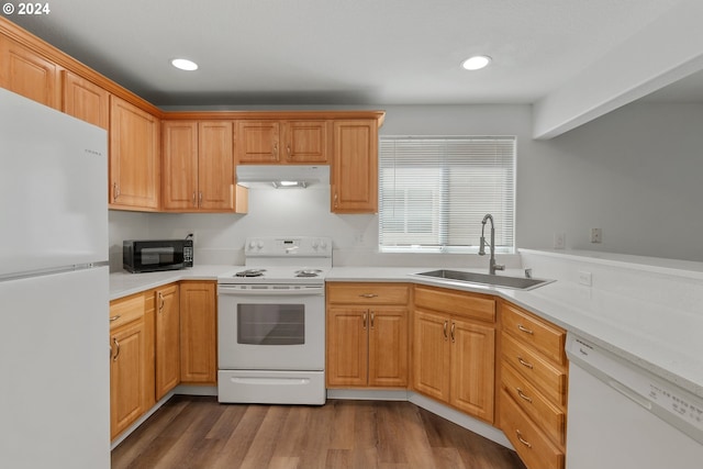 kitchen featuring white appliances, sink, and hardwood / wood-style floors