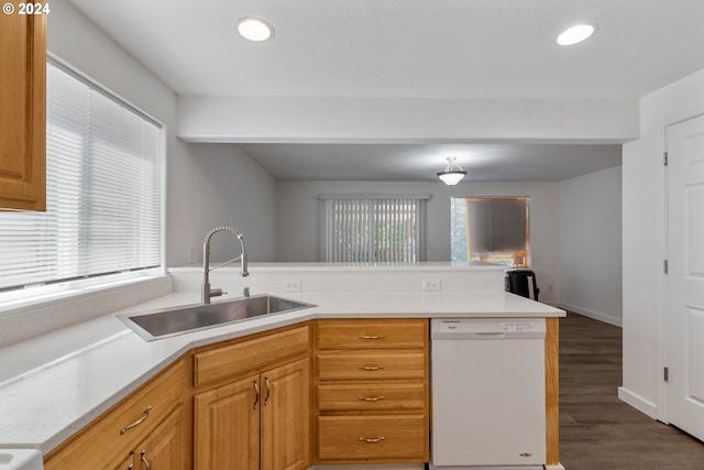 kitchen with white dishwasher, sink, and dark wood-type flooring