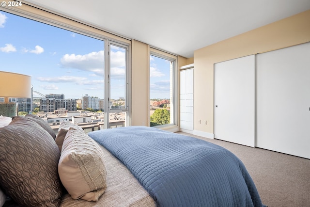 bedroom with multiple windows, a closet, and light carpet