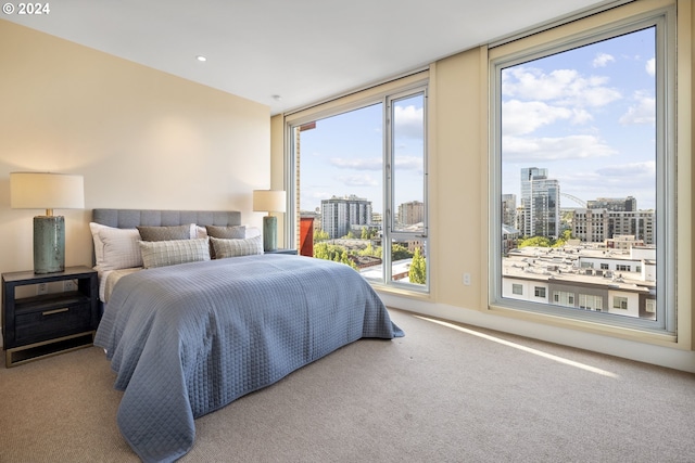 bedroom with carpet floors