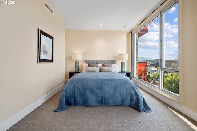 carpeted bedroom with multiple windows