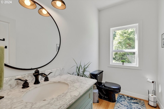 bathroom with vanity, toilet, and wood-type flooring