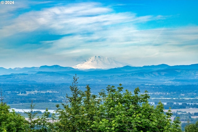 view of mountain feature