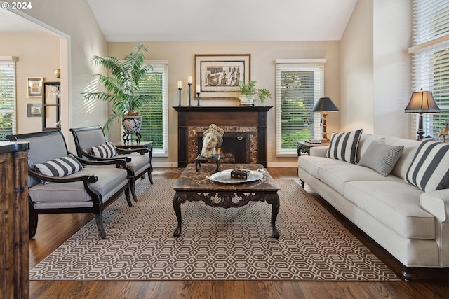 living room with wood-type flooring, lofted ceiling, a healthy amount of sunlight, and a high end fireplace