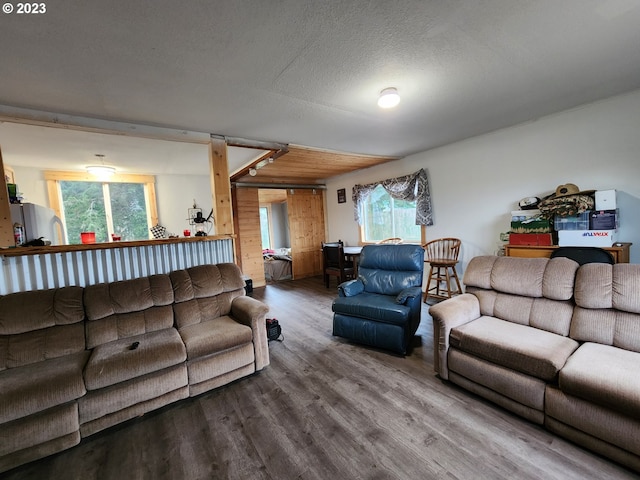 living room featuring wood-type flooring and a textured ceiling