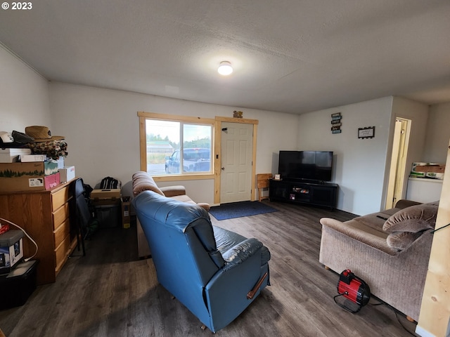 living room with dark hardwood / wood-style flooring