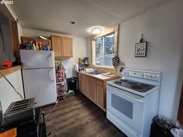 kitchen featuring a textured ceiling, light brown cabinetry, sink, white appliances, and dark hardwood / wood-style floors