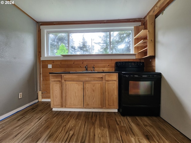 kitchen featuring black electric range, dark hardwood / wood-style floors, and sink