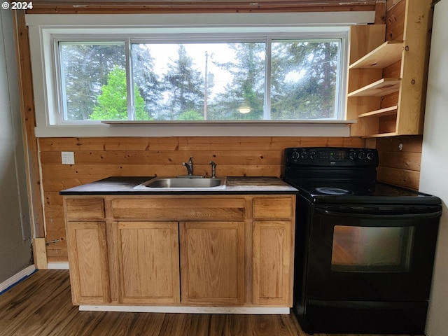 kitchen with black electric range oven, sink, plenty of natural light, and dark hardwood / wood-style floors