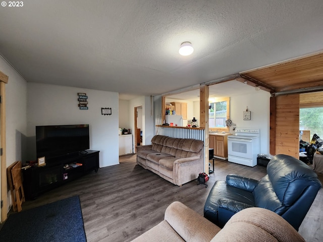 living room with hardwood / wood-style floors and a textured ceiling