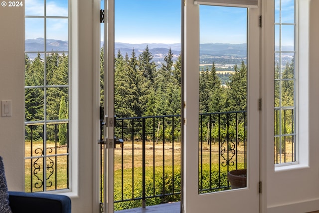 entryway with plenty of natural light and a mountain view