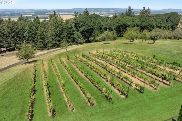 drone / aerial view with a rural view