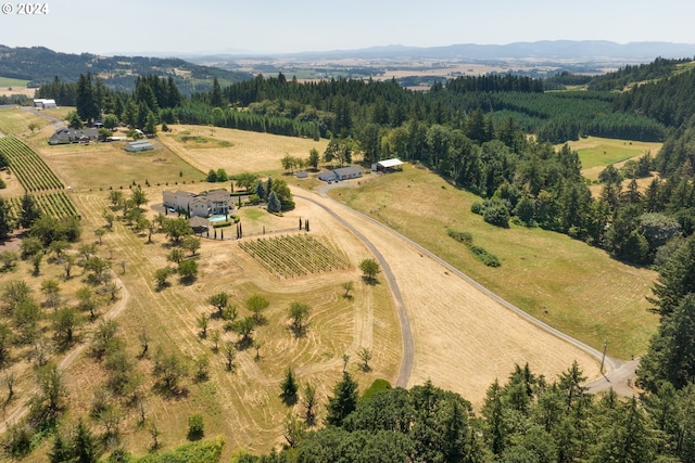 bird's eye view with a rural view