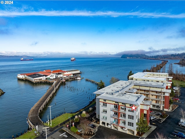 drone / aerial view with a water view