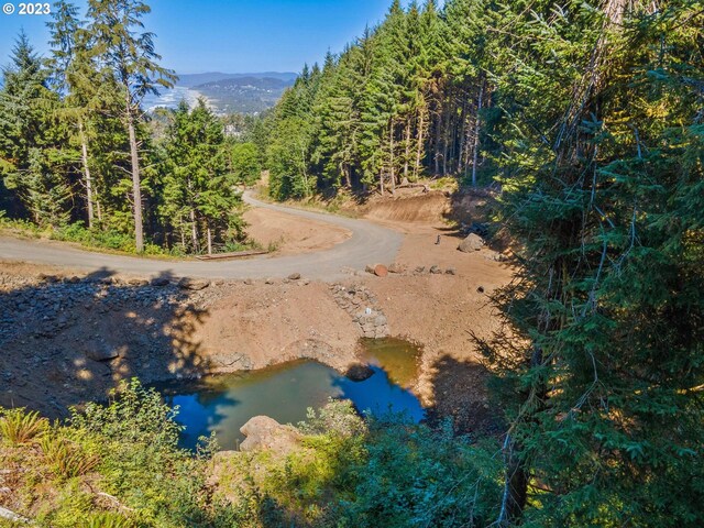 211 S Beach Ct Unit 211, Neskowin, OR 97149