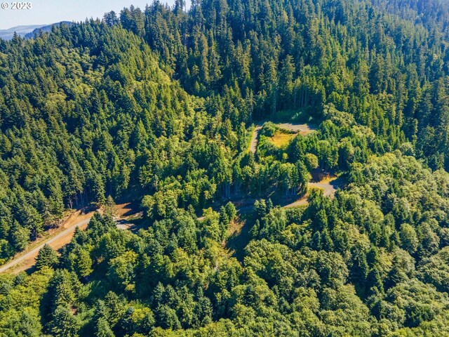 211 S Beach Ct Unit 211, Neskowin, OR 97149
