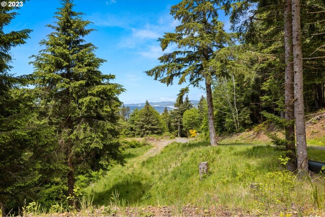 211 S Beach Ct Unit 211, Neskowin, OR 97149