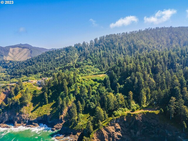 211 S Beach Ct Unit 211, Neskowin, OR 97149
