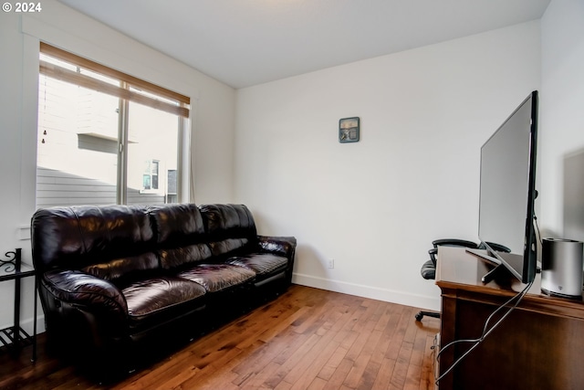 living room with hardwood / wood-style floors