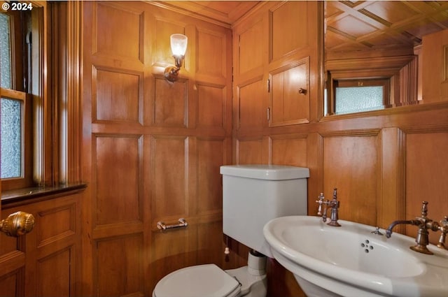 bathroom featuring sink, wooden walls, and toilet