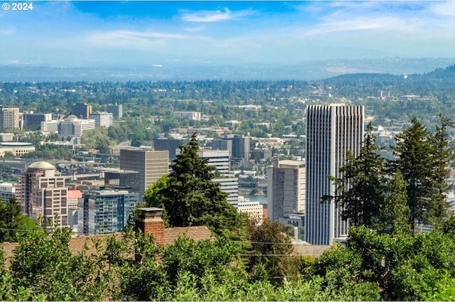 1816 SW Hawthorne Ter, Portland, OR 97201 - view of city