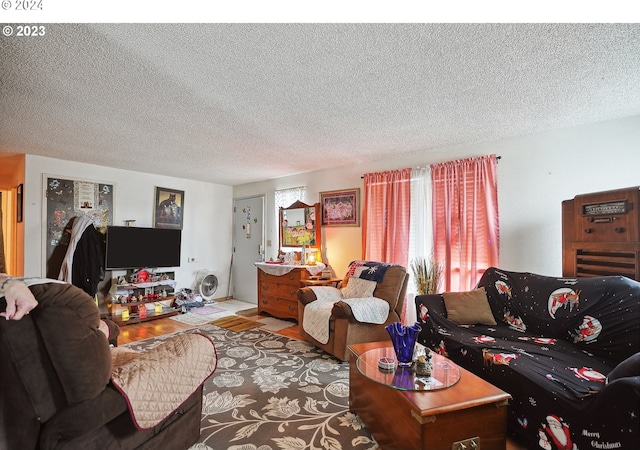 living room with a textured ceiling