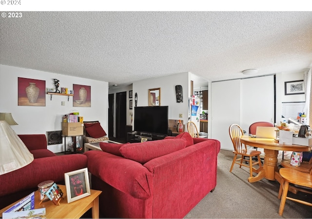 living room with carpet flooring and a textured ceiling