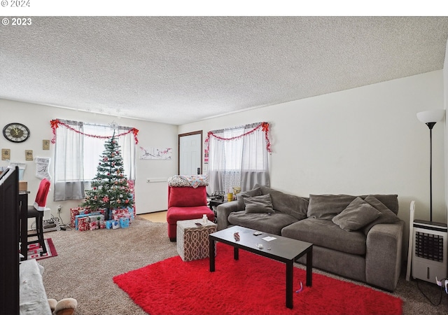 living room featuring carpet flooring, heating unit, and a textured ceiling