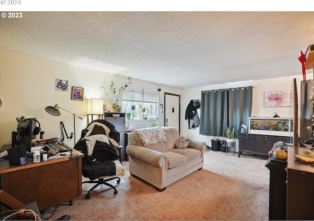 living room featuring carpet and a textured ceiling