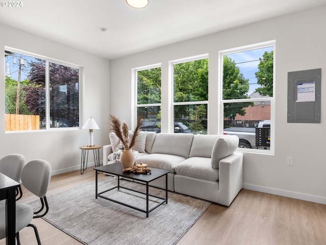 living room with electric panel and light hardwood / wood-style flooring