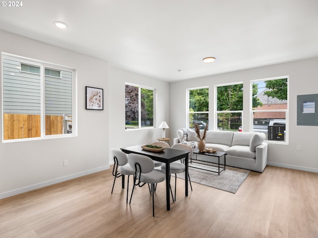 dining area with light hardwood / wood-style flooring