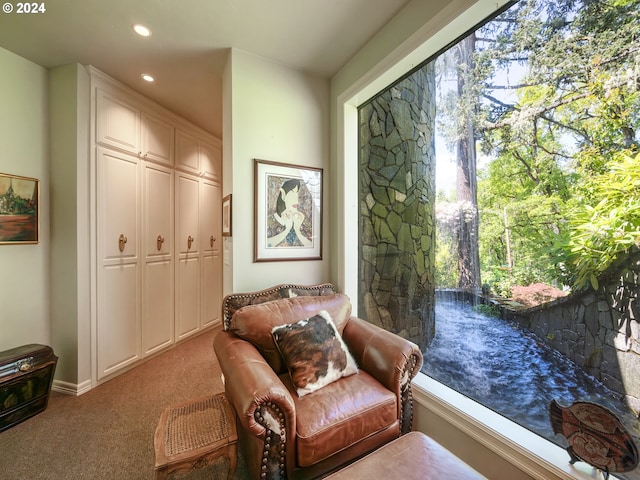 sitting room with carpet and recessed lighting