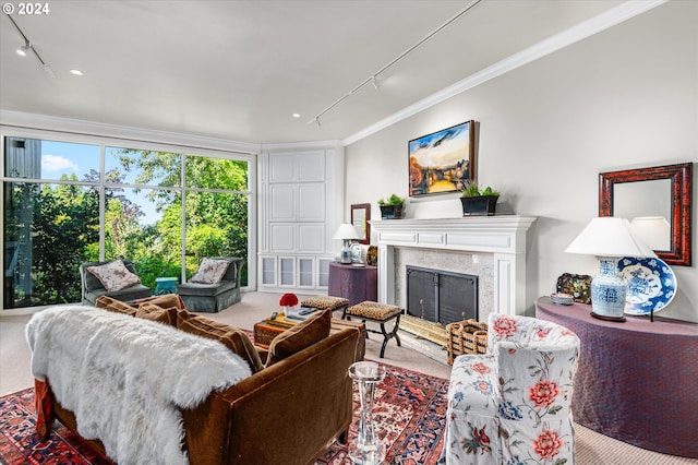 living area with carpet floors, a fireplace, rail lighting, and crown molding