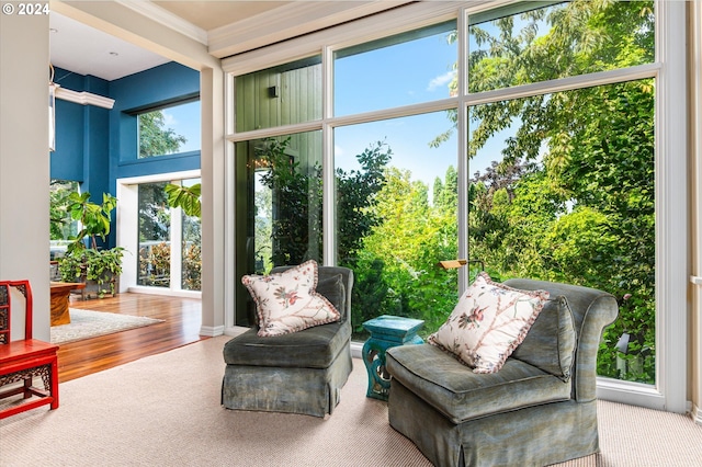 view of sunroom / solarium